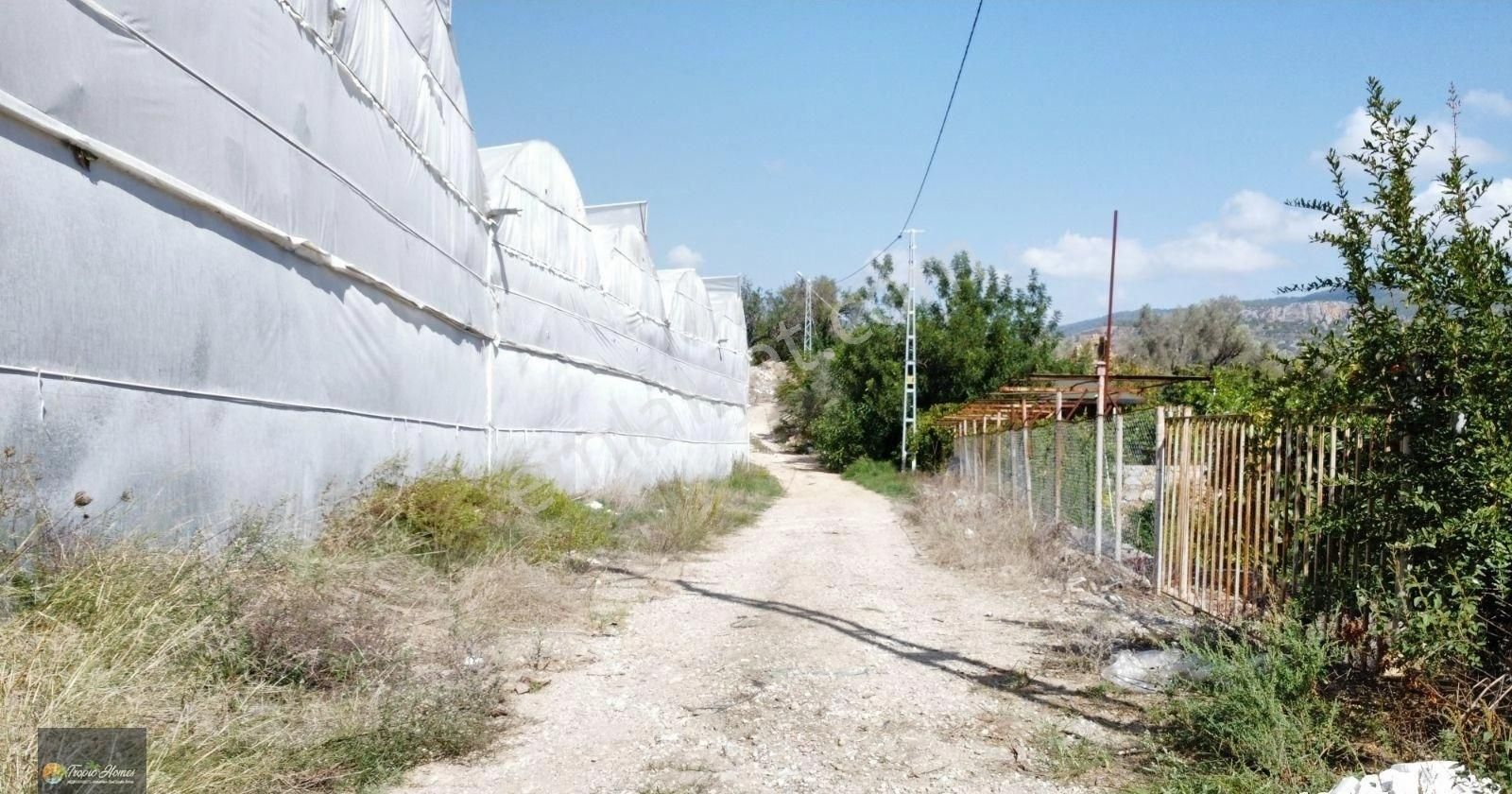 Alanya Uğrak Mahallesi'nde Satılık Muz Serası
