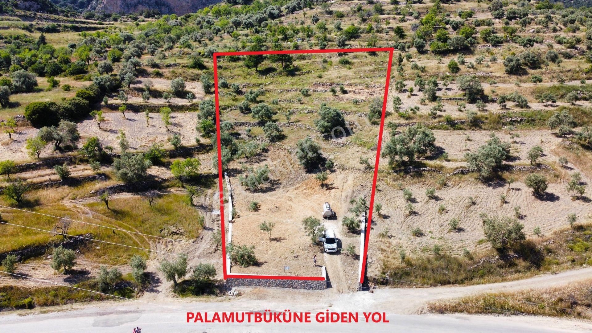 Datça Sındı Köyünde Satılık 4.200 M2 Tarla
