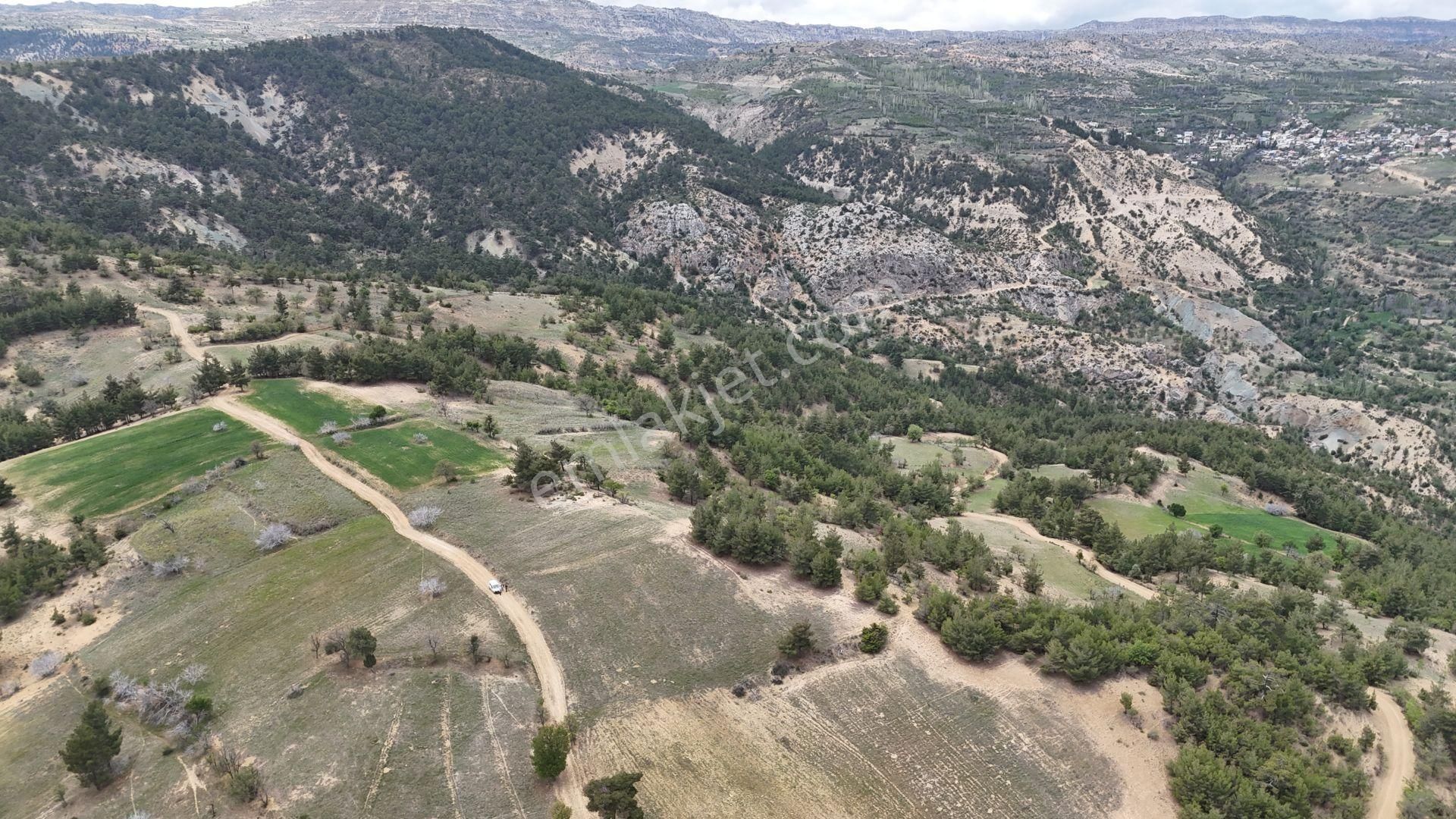 Karaman / Başyayla / Üzümlü Mahallesinde 3.488 M² Müstakil Tapulu Tarla