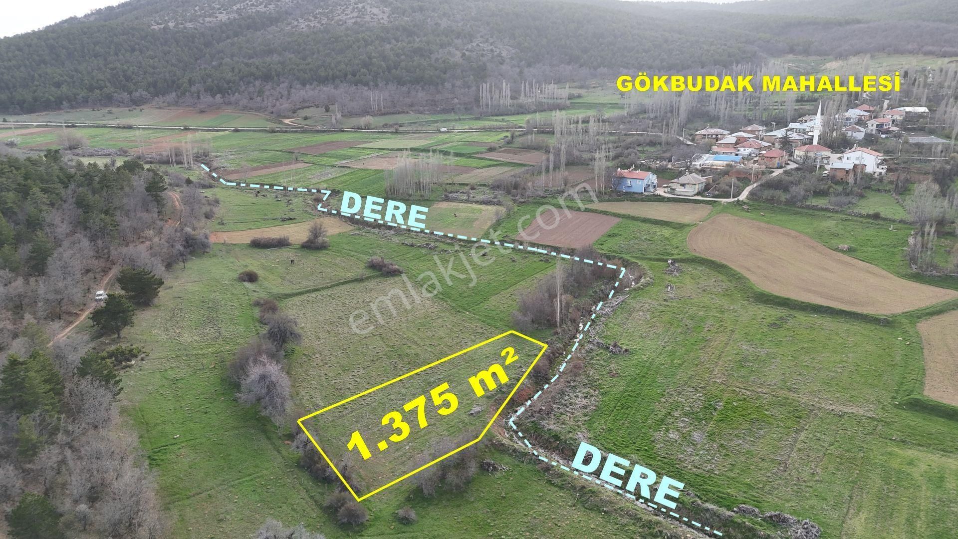 Konya / Ilgın / Gökbudak Mahallesinde 1.375 M² Müstakil Tapulu Tarla