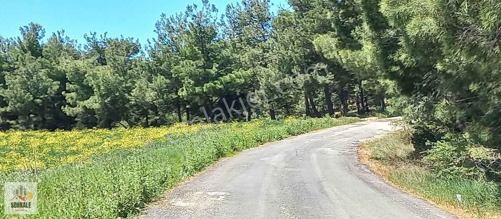 Çanakkale Merkez Isıklar Da Satılık Tarla