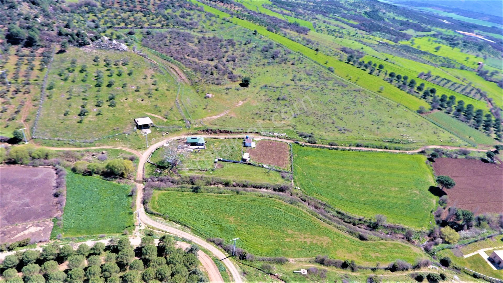 💥 💥 Aktif'ten Burhaniye Şahinler'de İçerisinde Yapı Olan Satılık 1260m2 Doğa Manzaralı Tarla💥💥