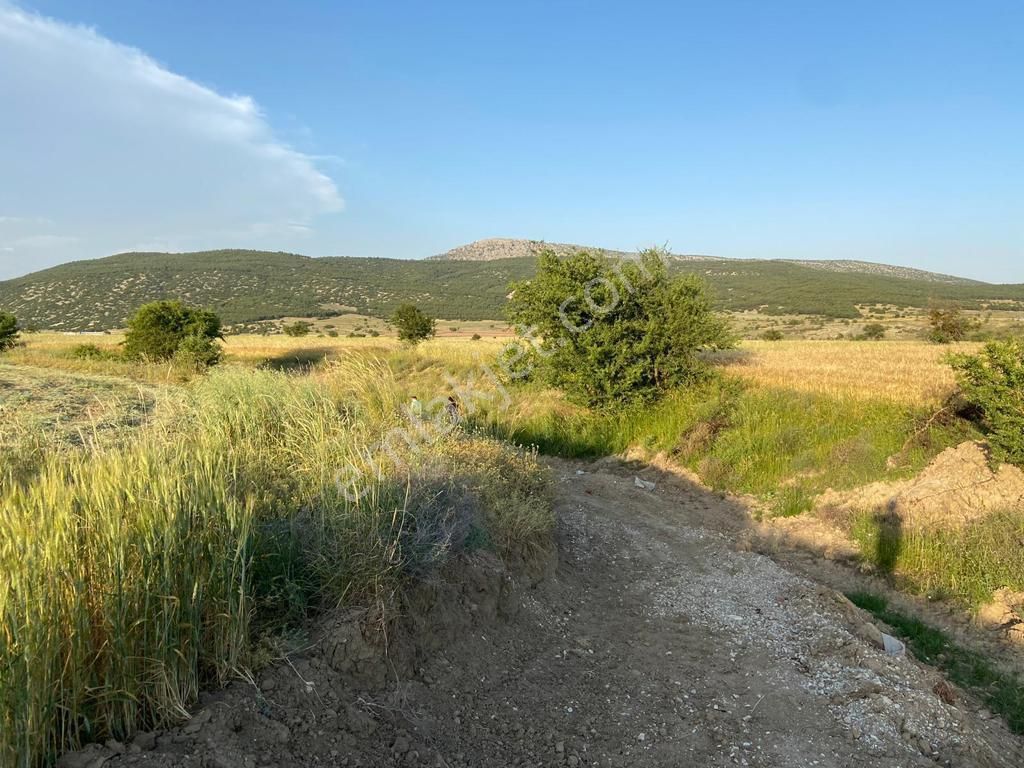 Korkuteli Yeşilyaylada Ypl Sorunu Olmayan 1040 M2 Tarla - Görsel 11