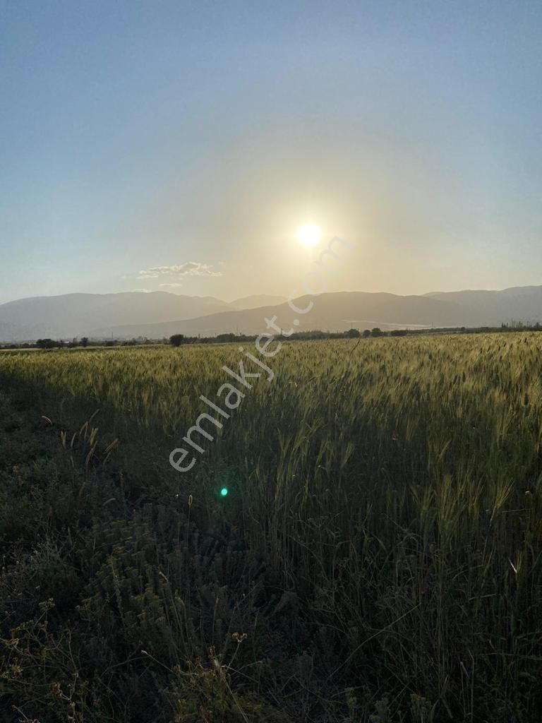 Korkuteli Yeşilyaylada Ypl Sorunu Olmayan 1040 M2 Tarla - Görsel 12