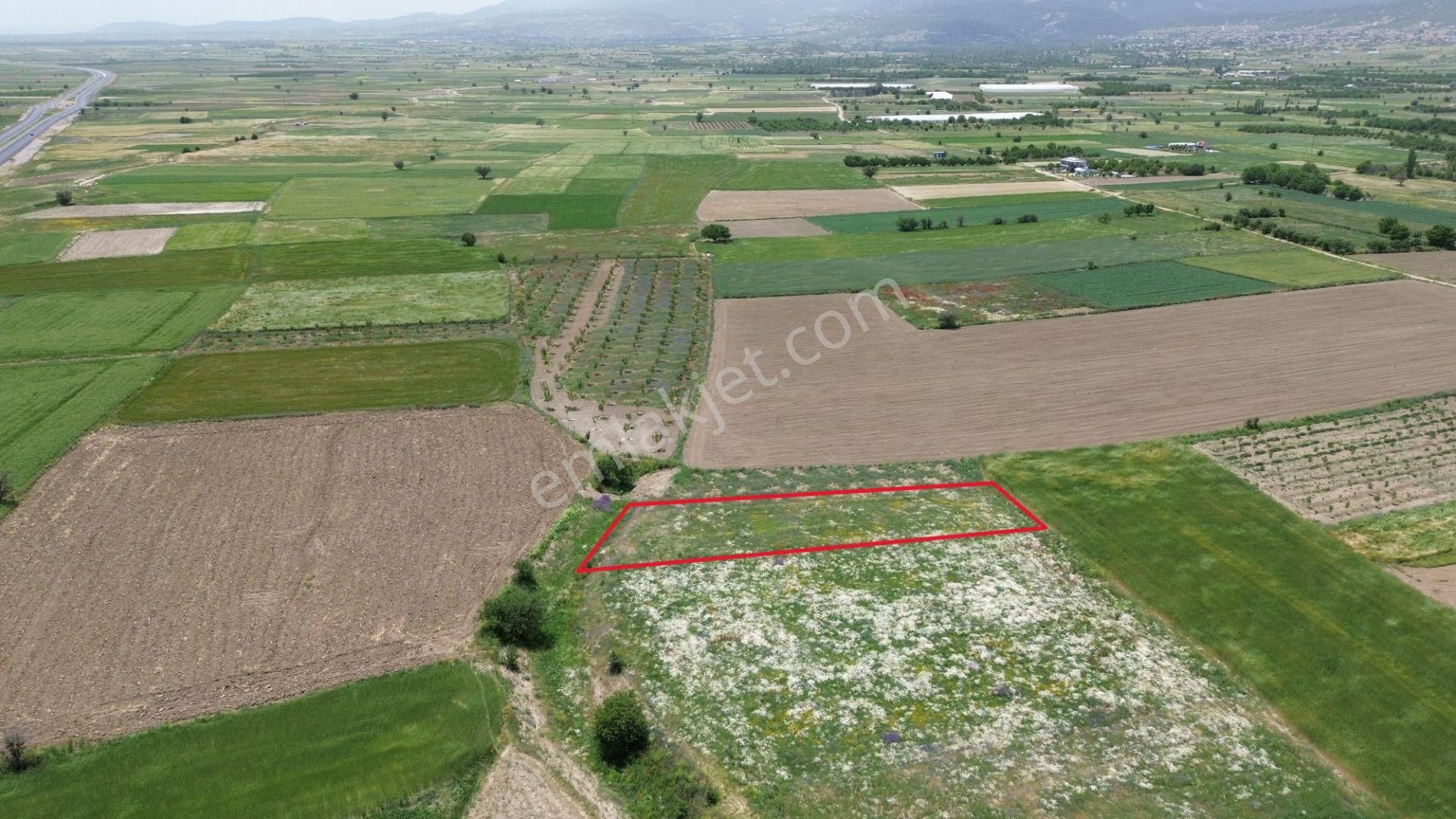Korkuteli Yeşilyaylada Ypl Sorunu Olmayan 1040 M2 Tarla - Görsel 13