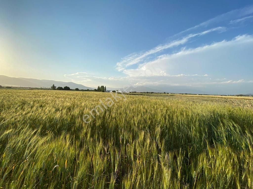 Korkuteli Yeşilyaylada Ypl Sorunu Olmayan 1040 M2 Tarla
