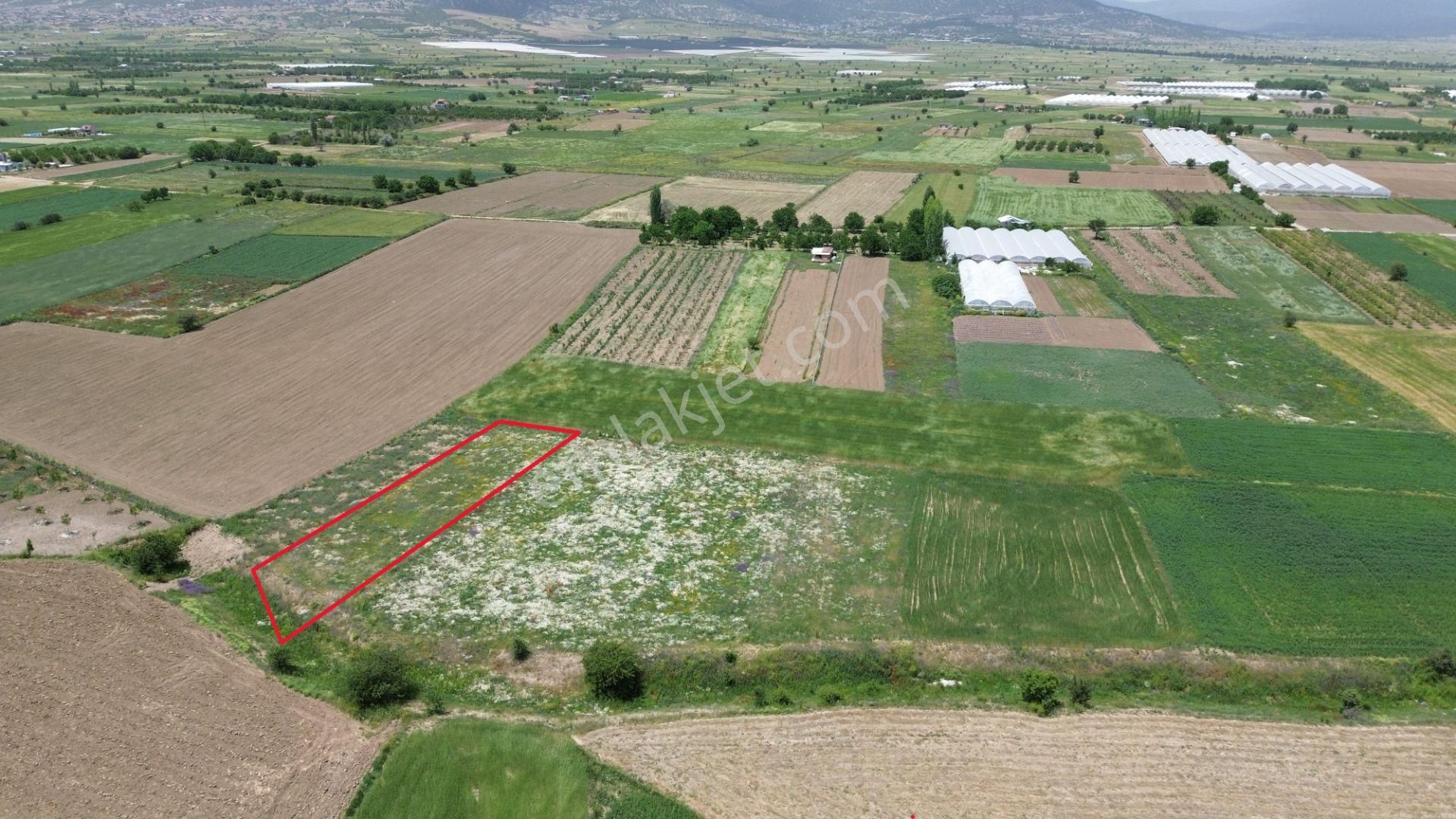 Korkuteli Yeşilyaylada Ypl Sorunu Olmayan 1040 M2 Tarla - Görsel 14