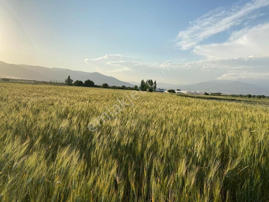 Korkuteli Yeşilyaylada Ypl Sorunu Olmayan 1040 M2 Tarla - Görsel 5