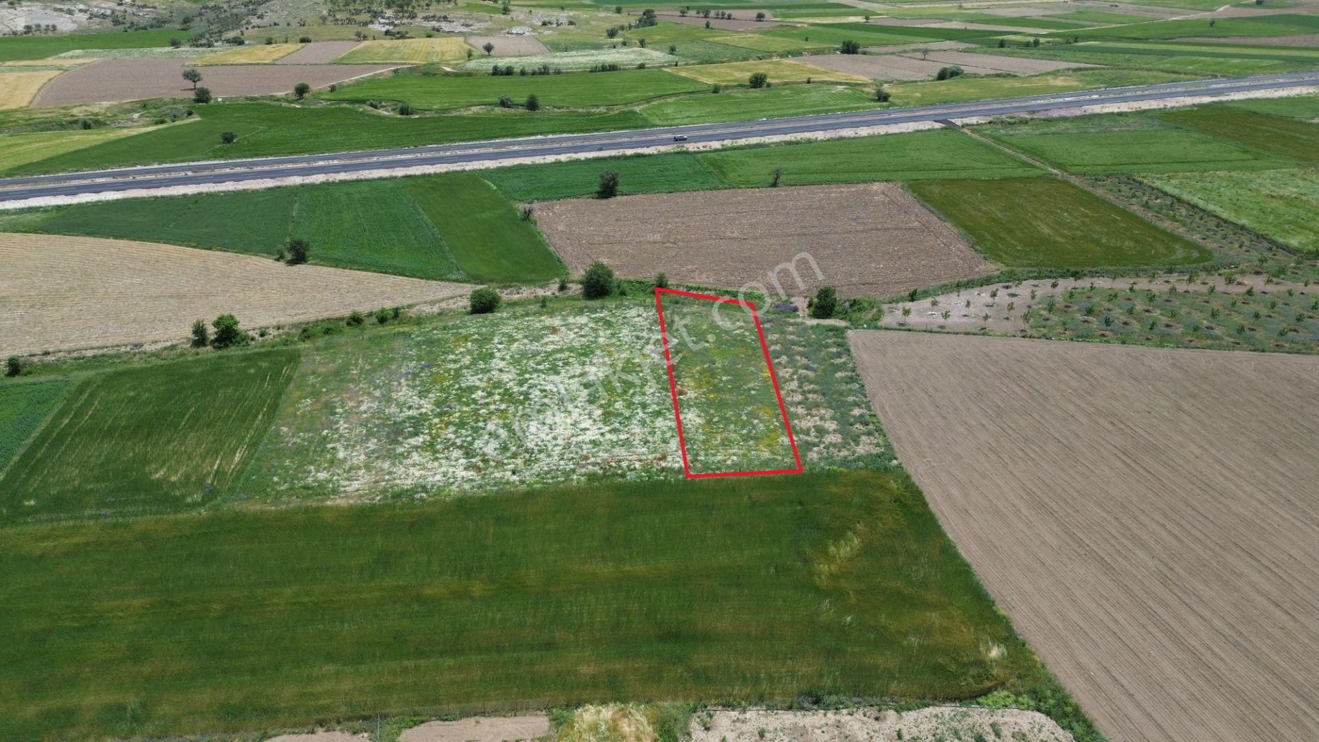 Korkuteli Yeşilyaylada Ypl Sorunu Olmayan 1040 M2 Tarla - Görsel 6