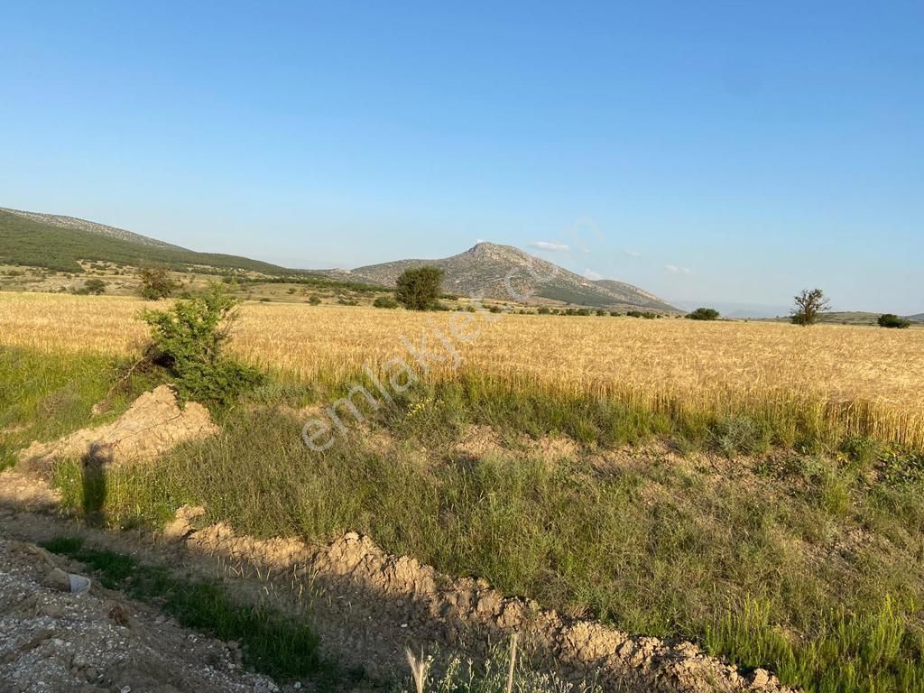 Korkuteli Yeşilyaylada Ypl Sorunu Olmayan 1040 M2 Tarla - Görsel 9