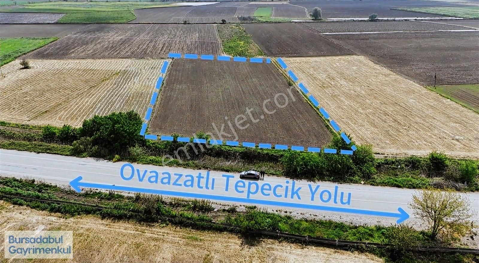 Bursadabul'dan Ovaazatlı Mah. Yola Cephe Köşe Tarla 5900 M2