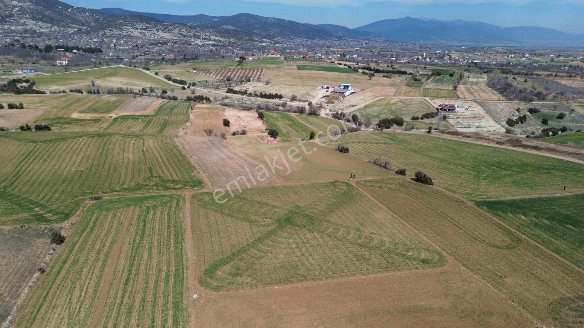 Korkuteli Yeltende 3350 M2 Yeşillikler İçinde Tarla - Görsel 8