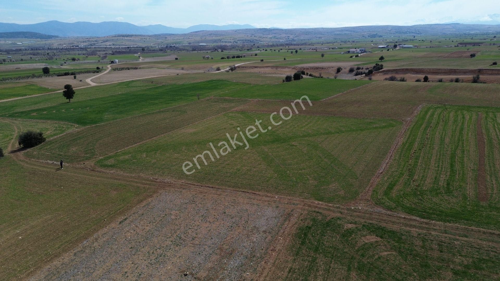 Korkuteli Yeltende 3350 M2 Yeşillikler İçinde Tarla - Görsel 4