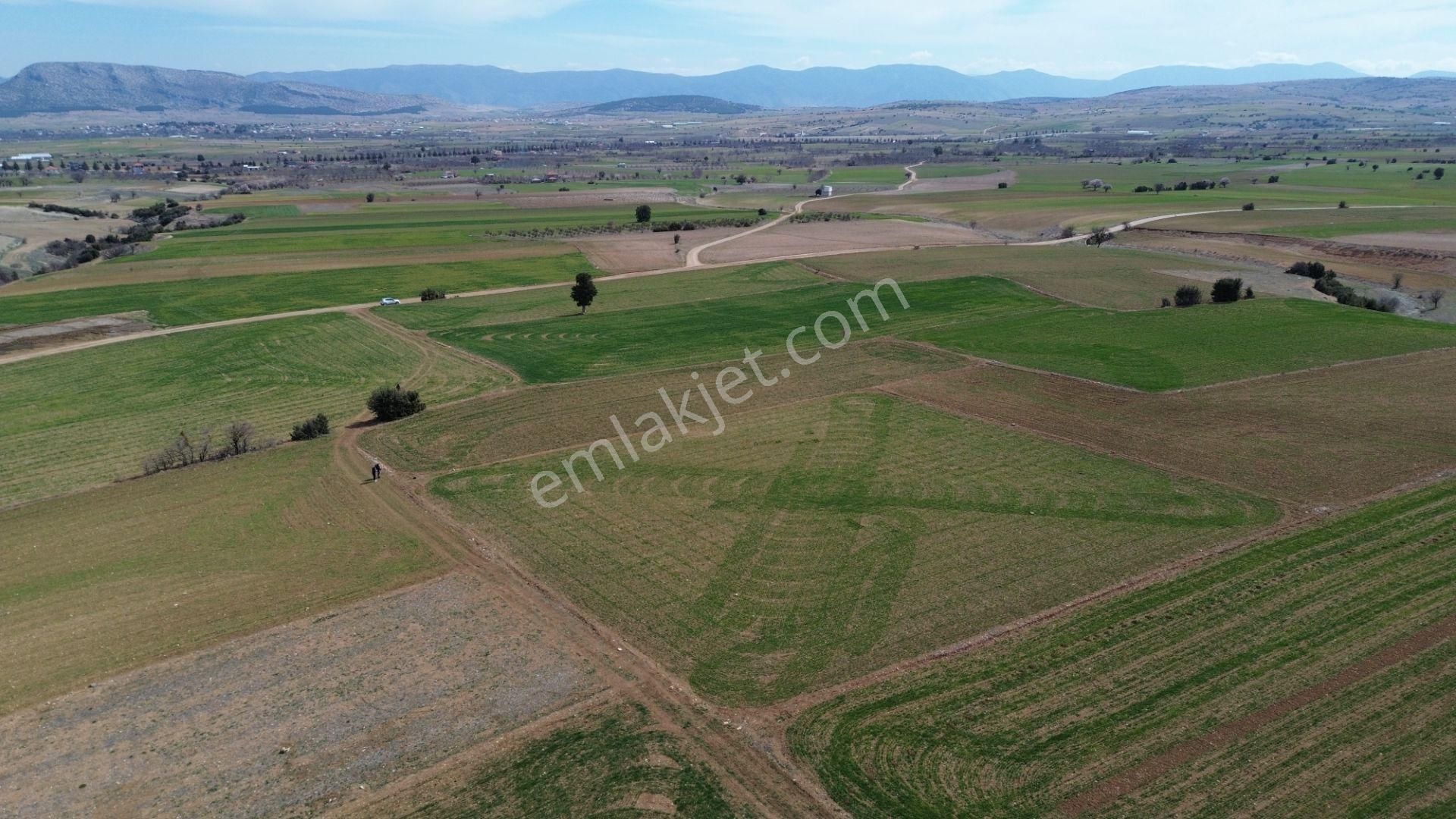 Korkuteli Yeltende 3350 M2 Yeşillikler İçinde Tarla - Görsel 5