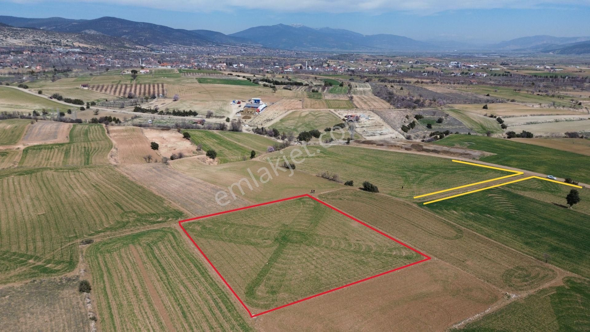 Korkuteli Yeltende 3350 M2 Yeşillikler İçinde Tarla - Görsel 2