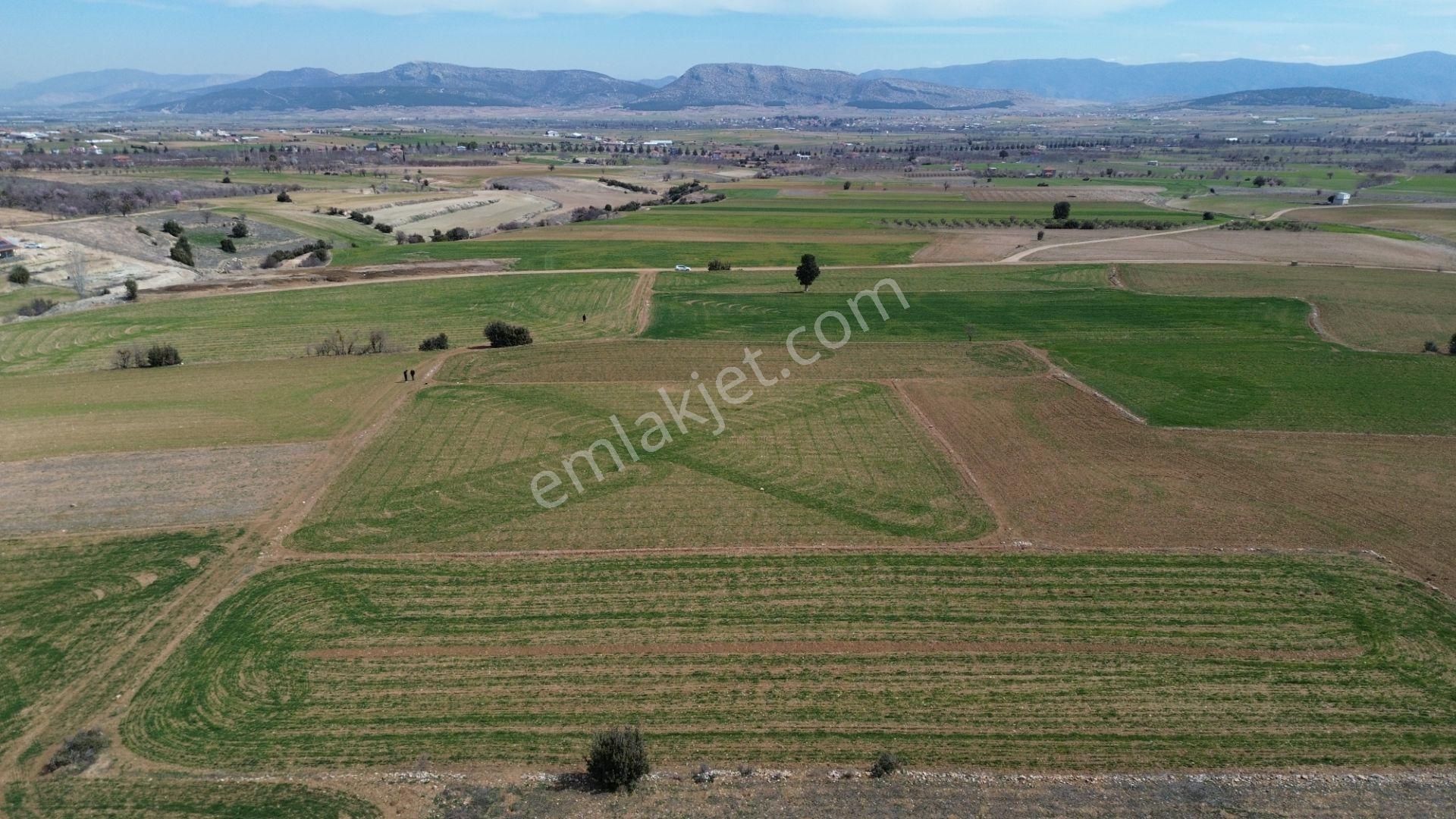 Korkuteli Yeltende 3350 M2 Yeşillikler İçinde Tarla - Görsel 6
