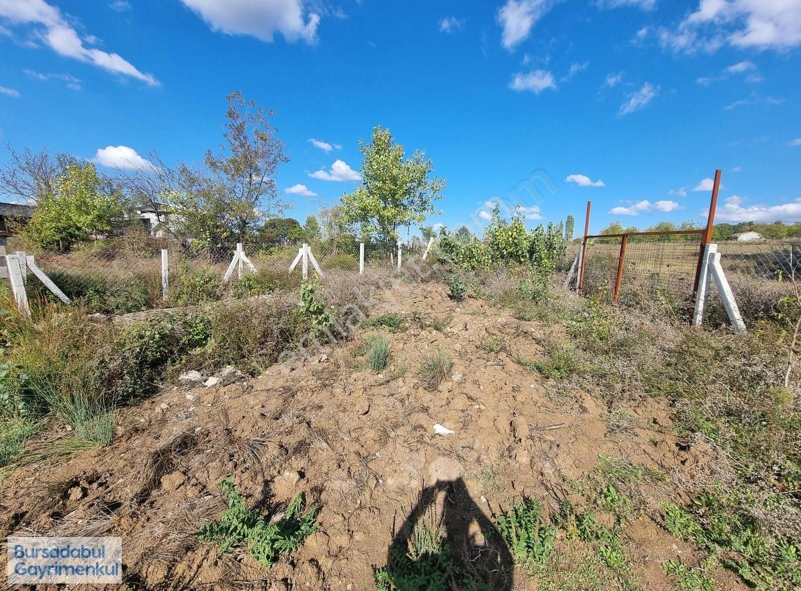 Bursadabul Muradiye Sarnıç Mah. 1,219m2 Arazi İçinde Taş Ev - Görsel 34