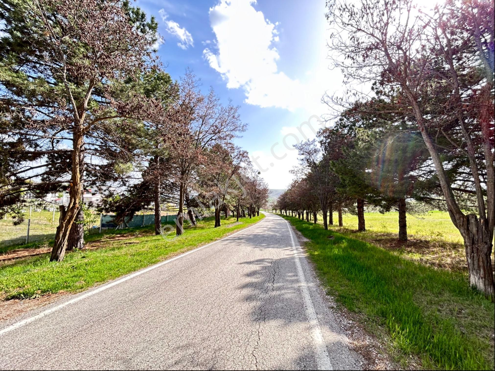 Aşağıçavundur'da 12.163 M2 Asfalt Yola 120 M Cephe Satılık Tarla