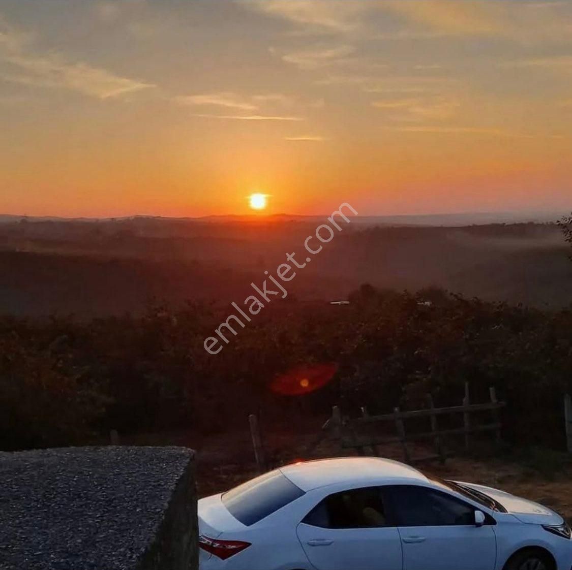 Kocaali Hızar Mah. İçerisinde Bağ Evi Mevcut, Deniz Manzaralı 10 Dönüm Satılık Fındık Bahçesi - Görsel 3