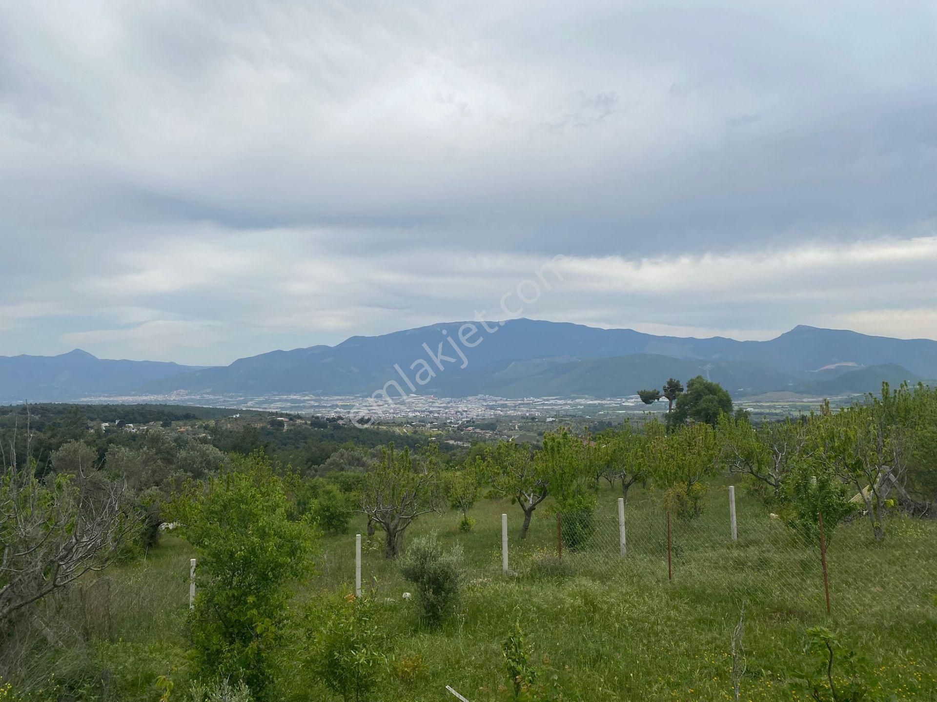 İzmir Bornovada Satılık Bahçe - Görsel 8