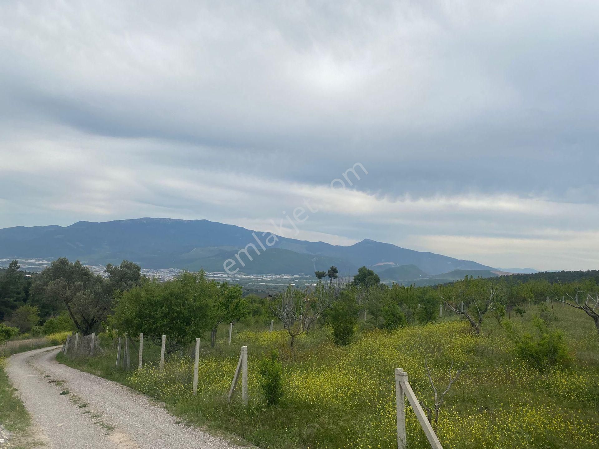 İzmir Bornovada Satılık Bahçe - Görsel 28