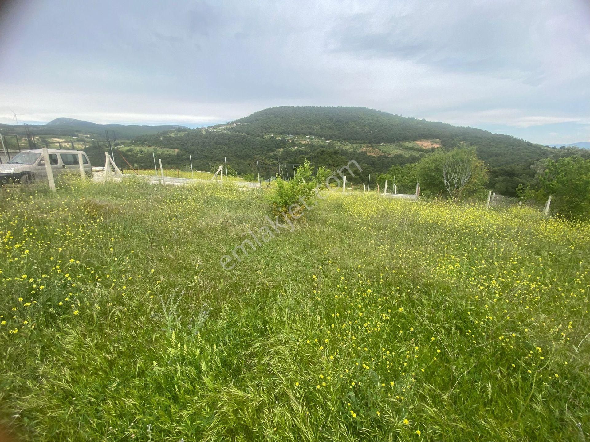 İzmir Bornovada Satılık Bahçe - Görsel 18