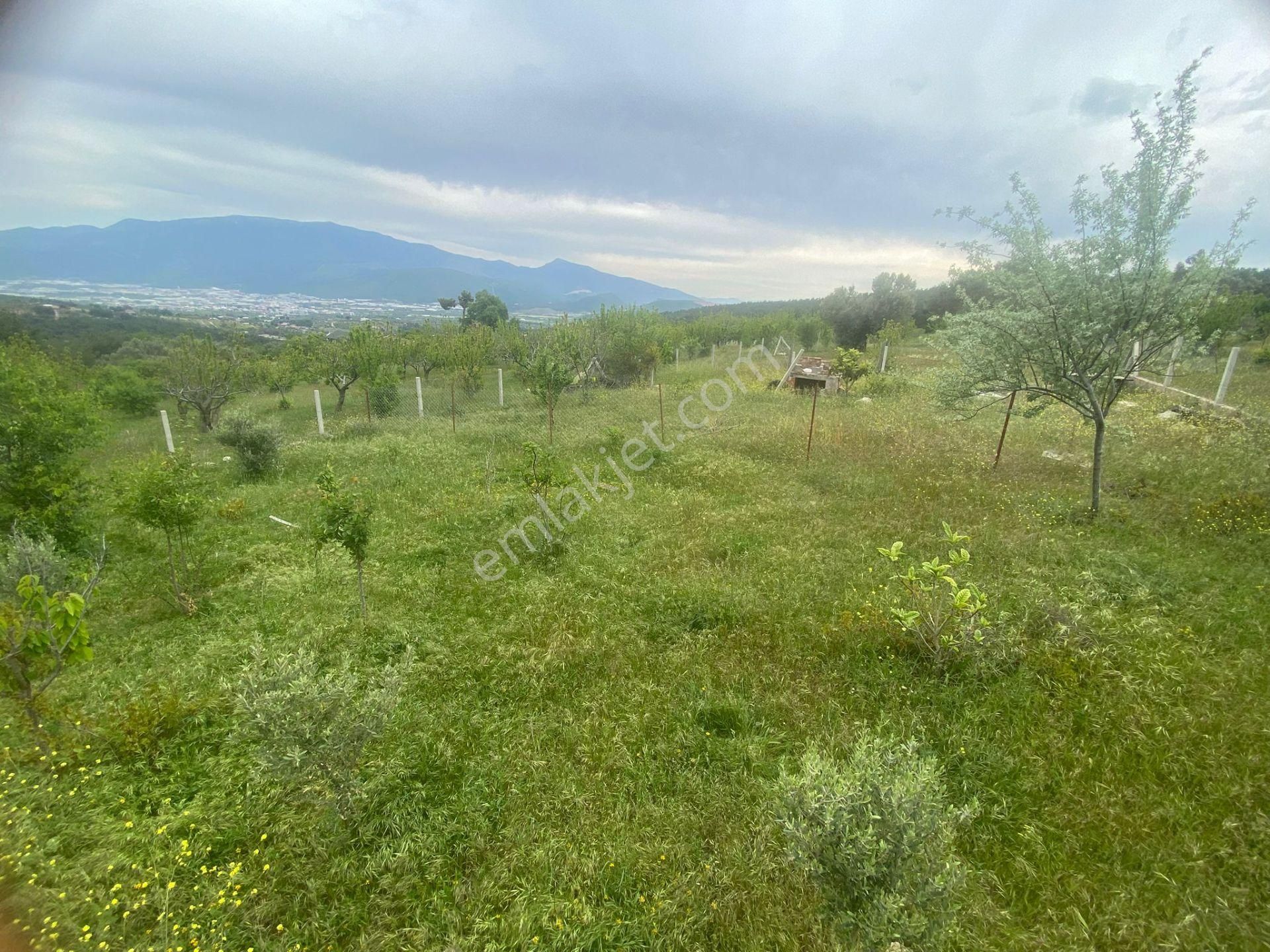 İzmir Bornovada Satılık Bahçe - Görsel 12