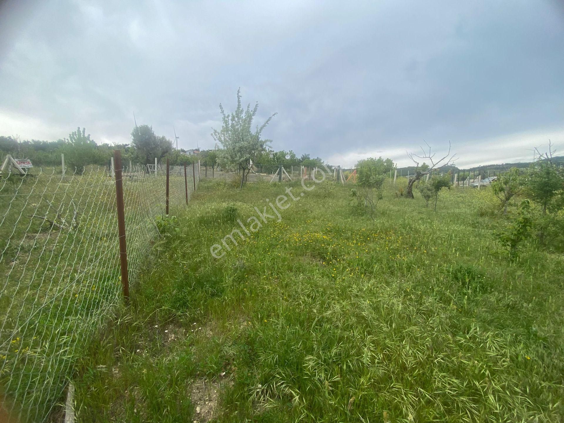 İzmir Bornovada Satılık Bahçe - Görsel 9