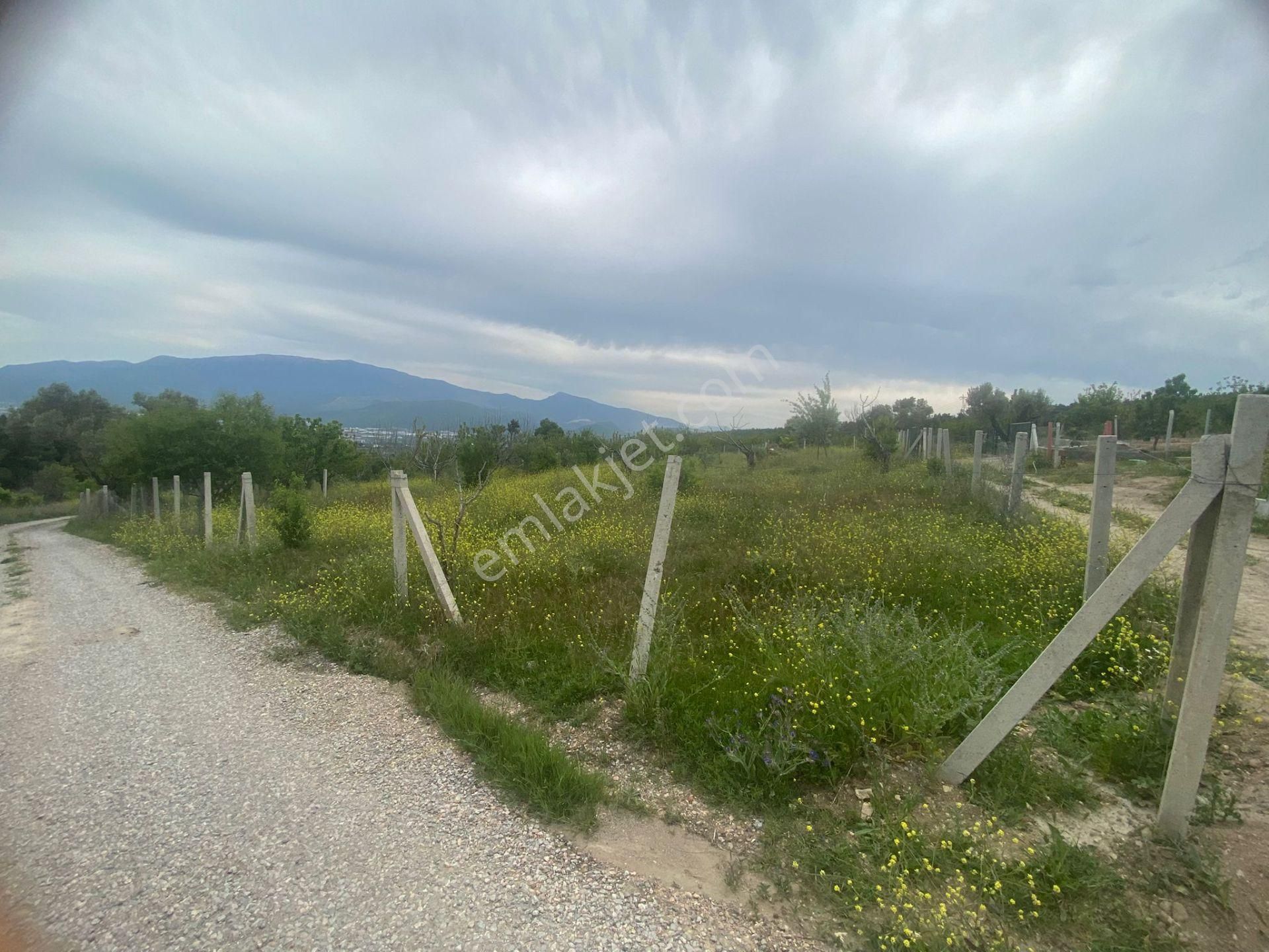 İzmir Bornovada Satılık Bahçe - Görsel 25