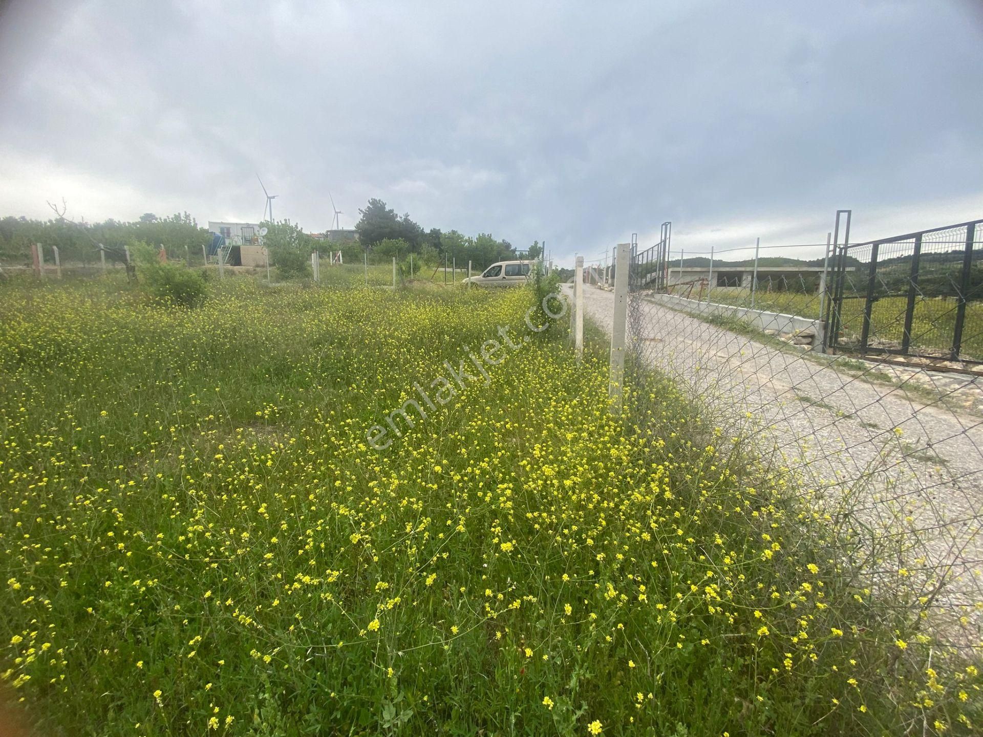 İzmir Bornovada Satılık Bahçe - Görsel 4