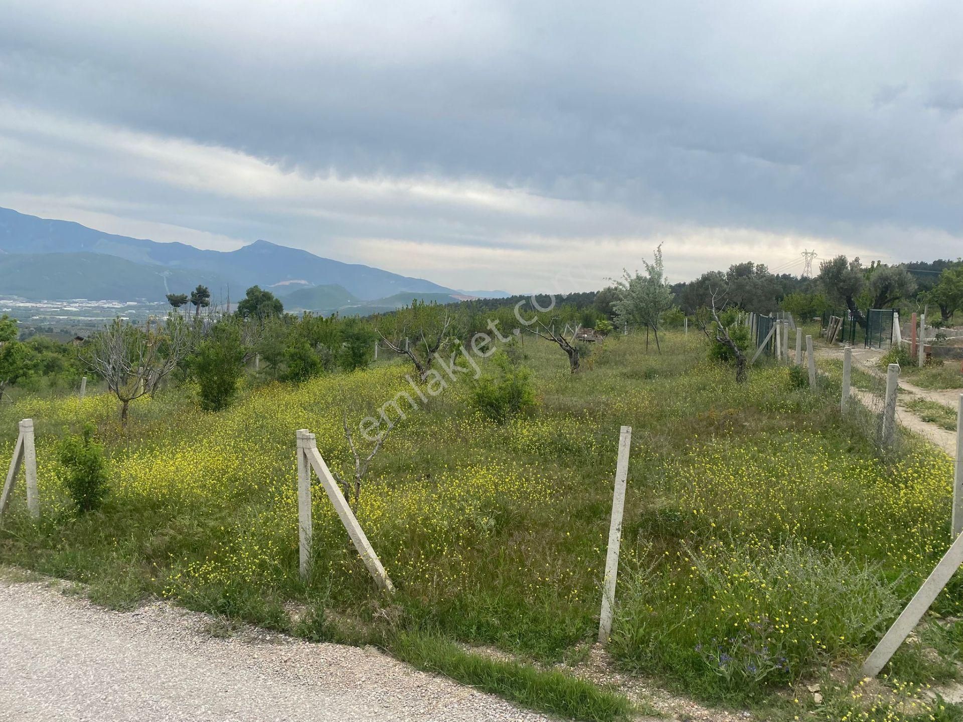 İzmir Bornovada Satılık Bahçe - Görsel 26