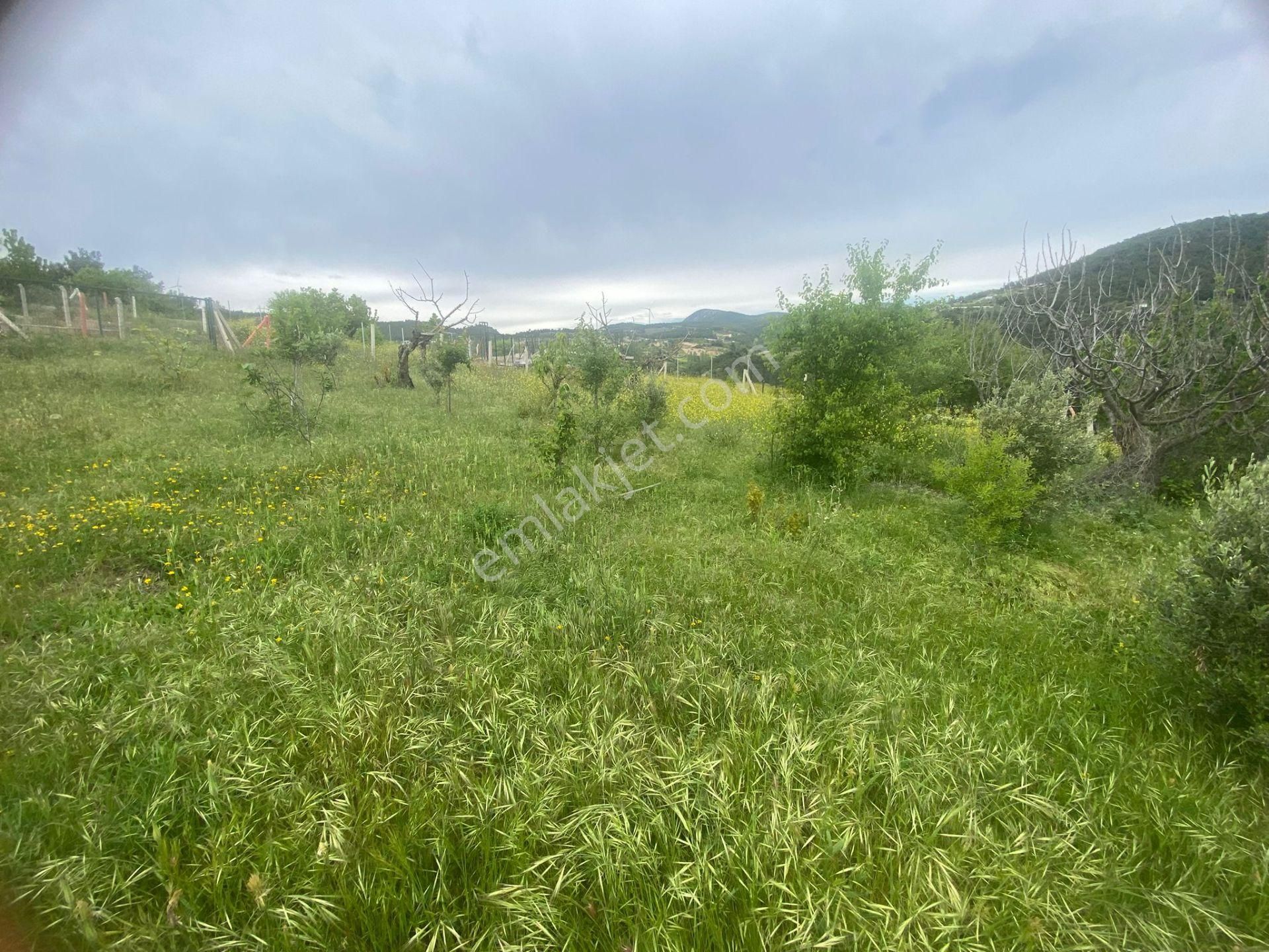 İzmir Bornovada Satılık Bahçe - Görsel 6