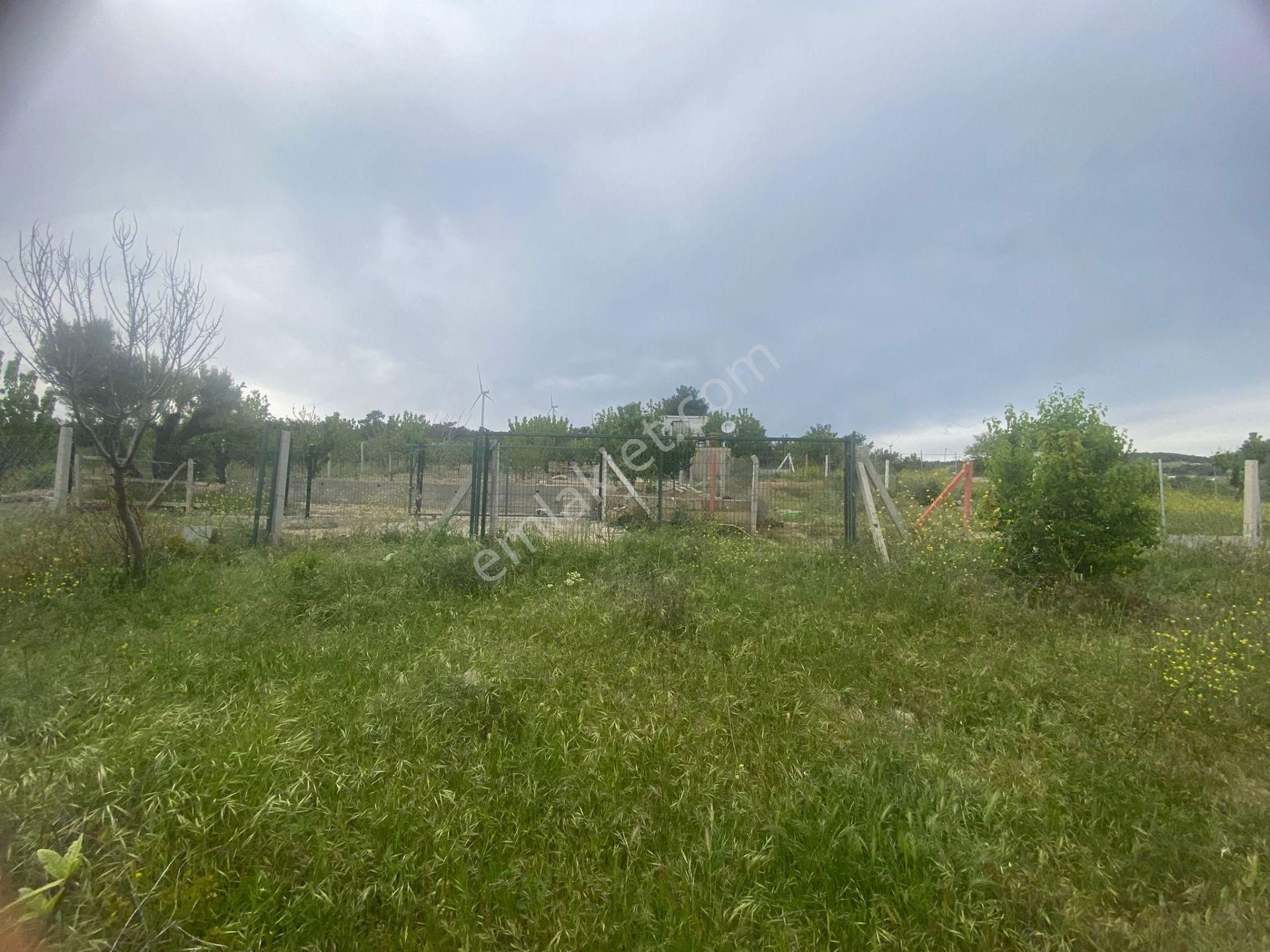 İzmir Bornovada Satılık Bahçe - Görsel 15