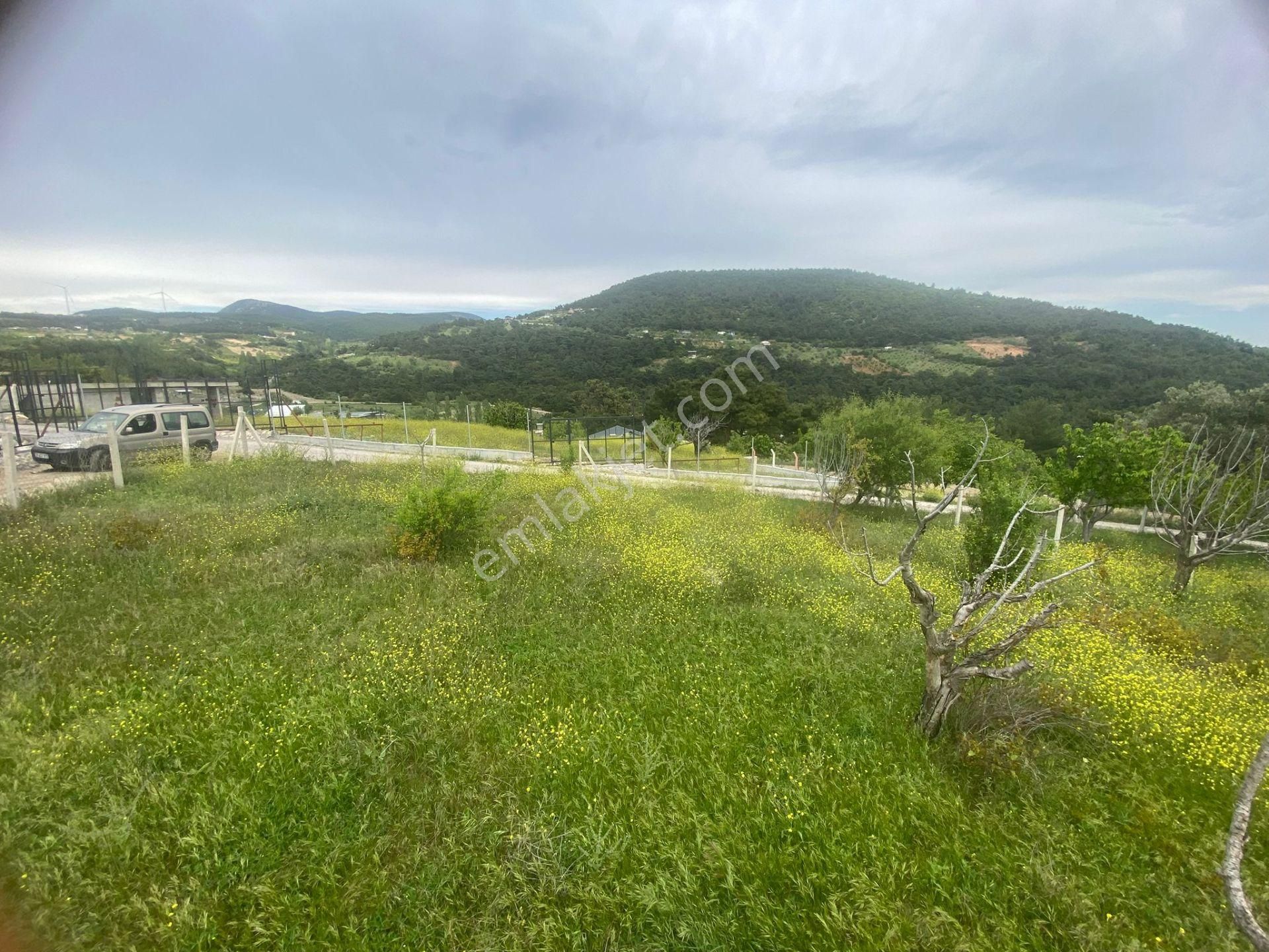 İzmir Bornovada Satılık Bahçe - Görsel 13