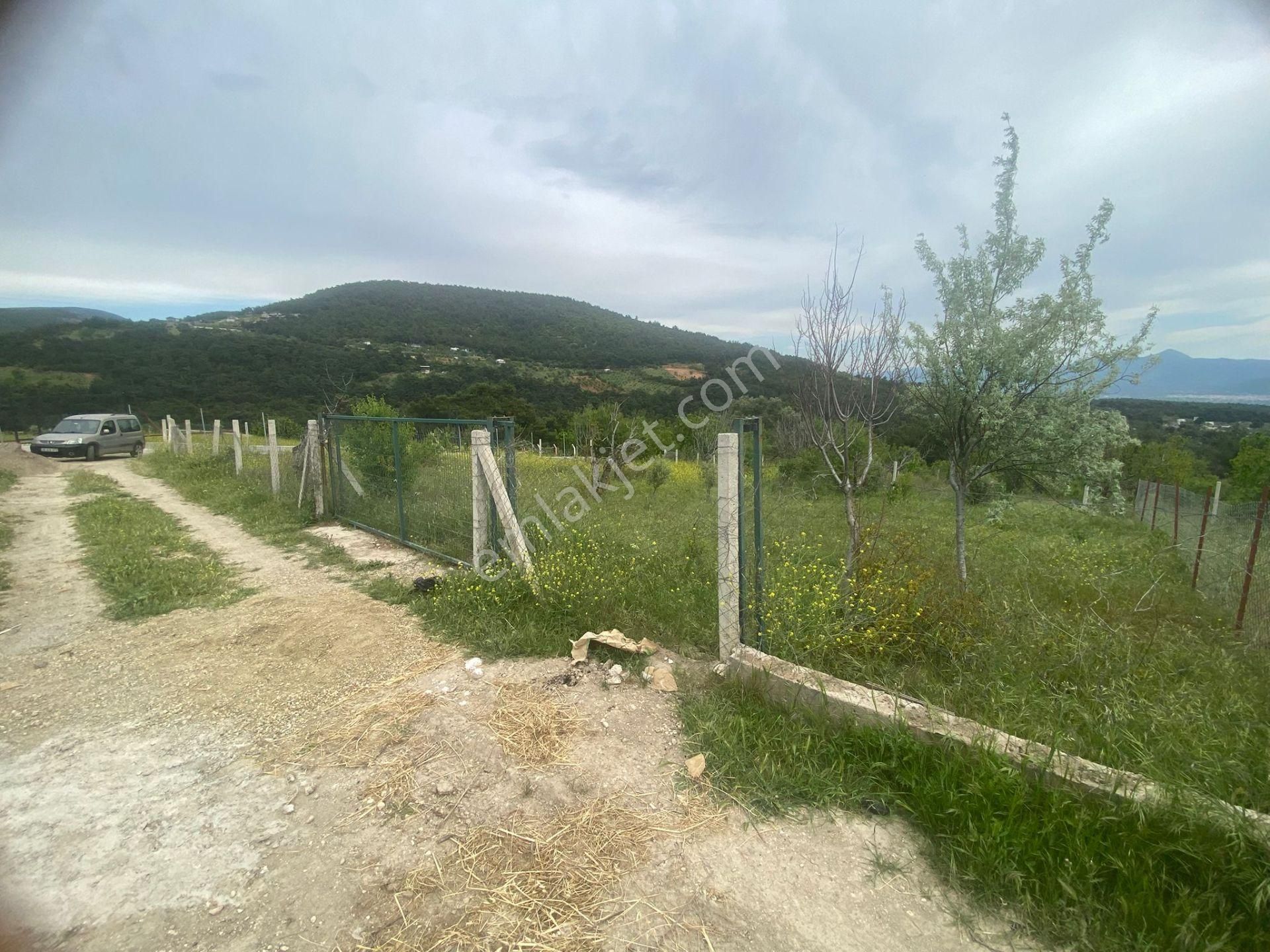 İzmir Bornovada Satılık Bahçe - Görsel 21