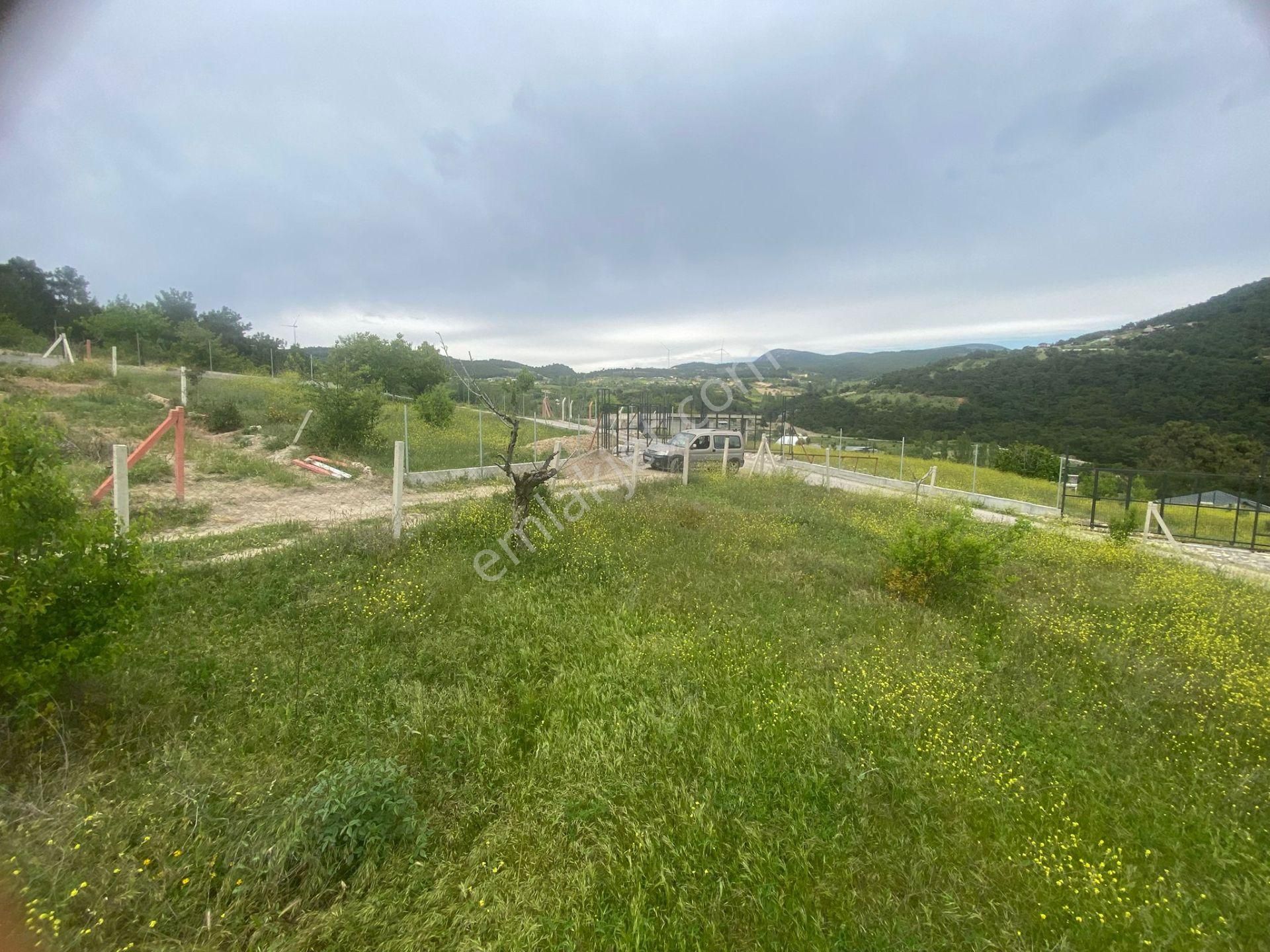 İzmir Bornovada Satılık Bahçe - Görsel 11