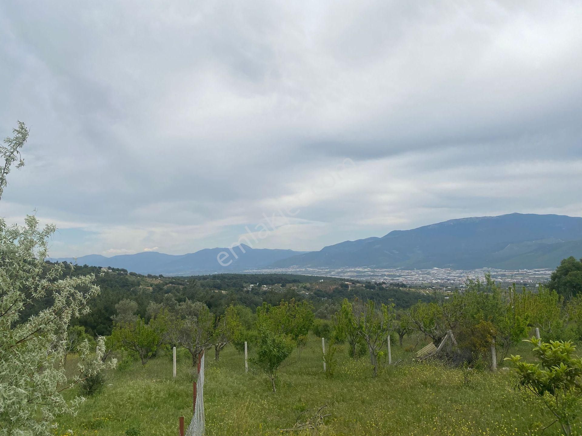 İzmir Bornovada Satılık Bahçe - Görsel 19