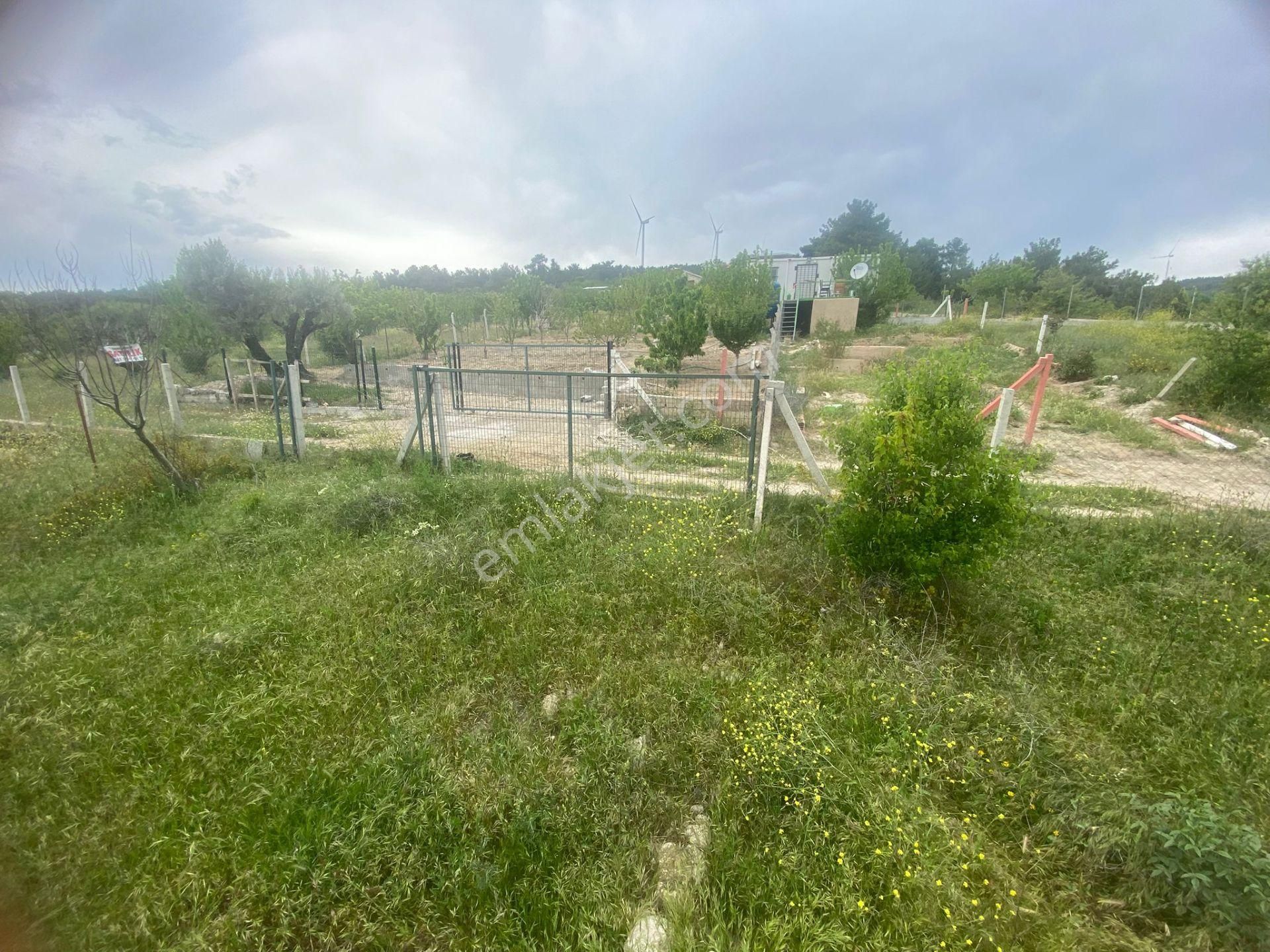 İzmir Bornovada Satılık Bahçe - Görsel 10