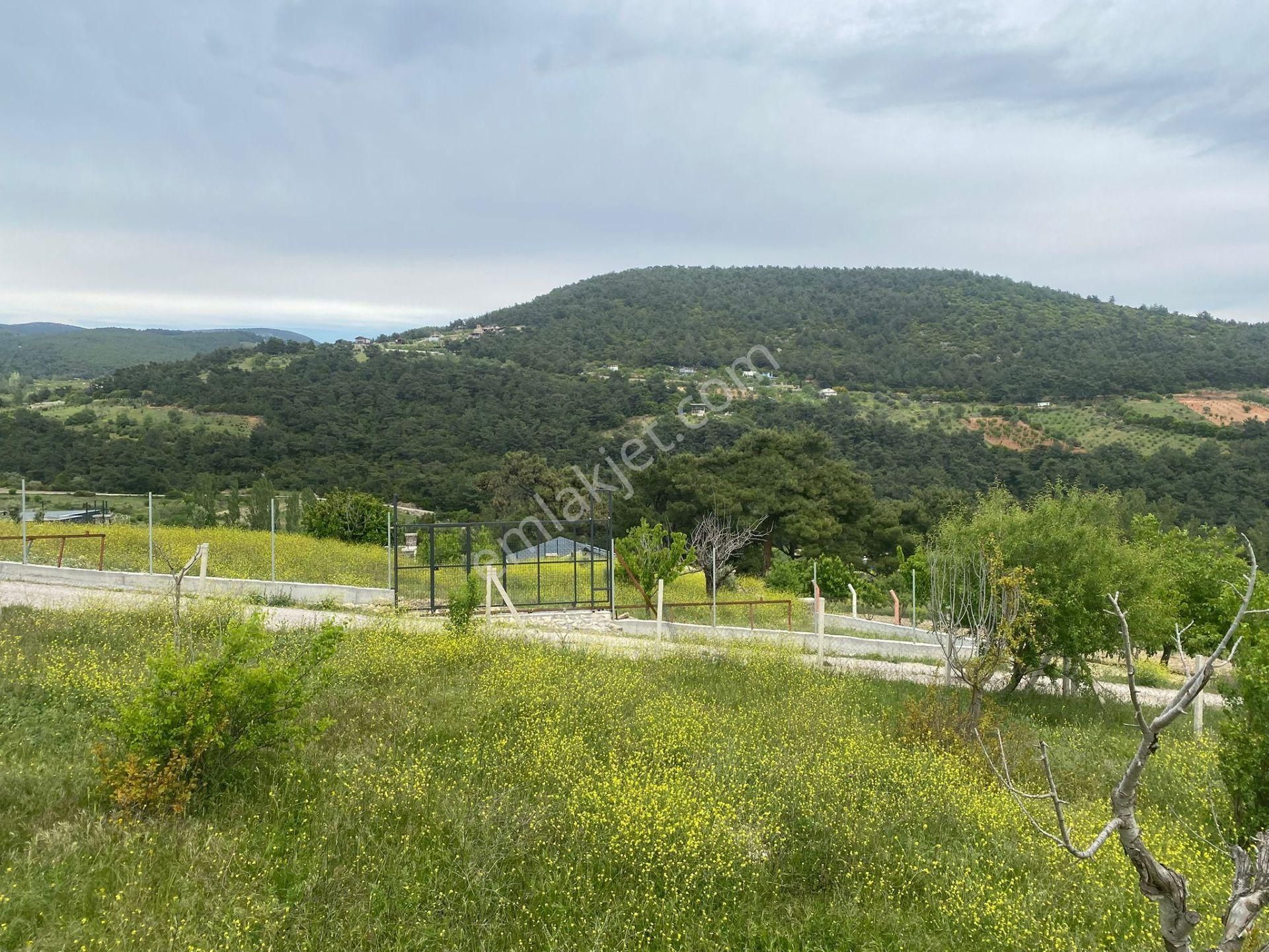 İzmir Bornovada Satılık Bahçe - Görsel 7