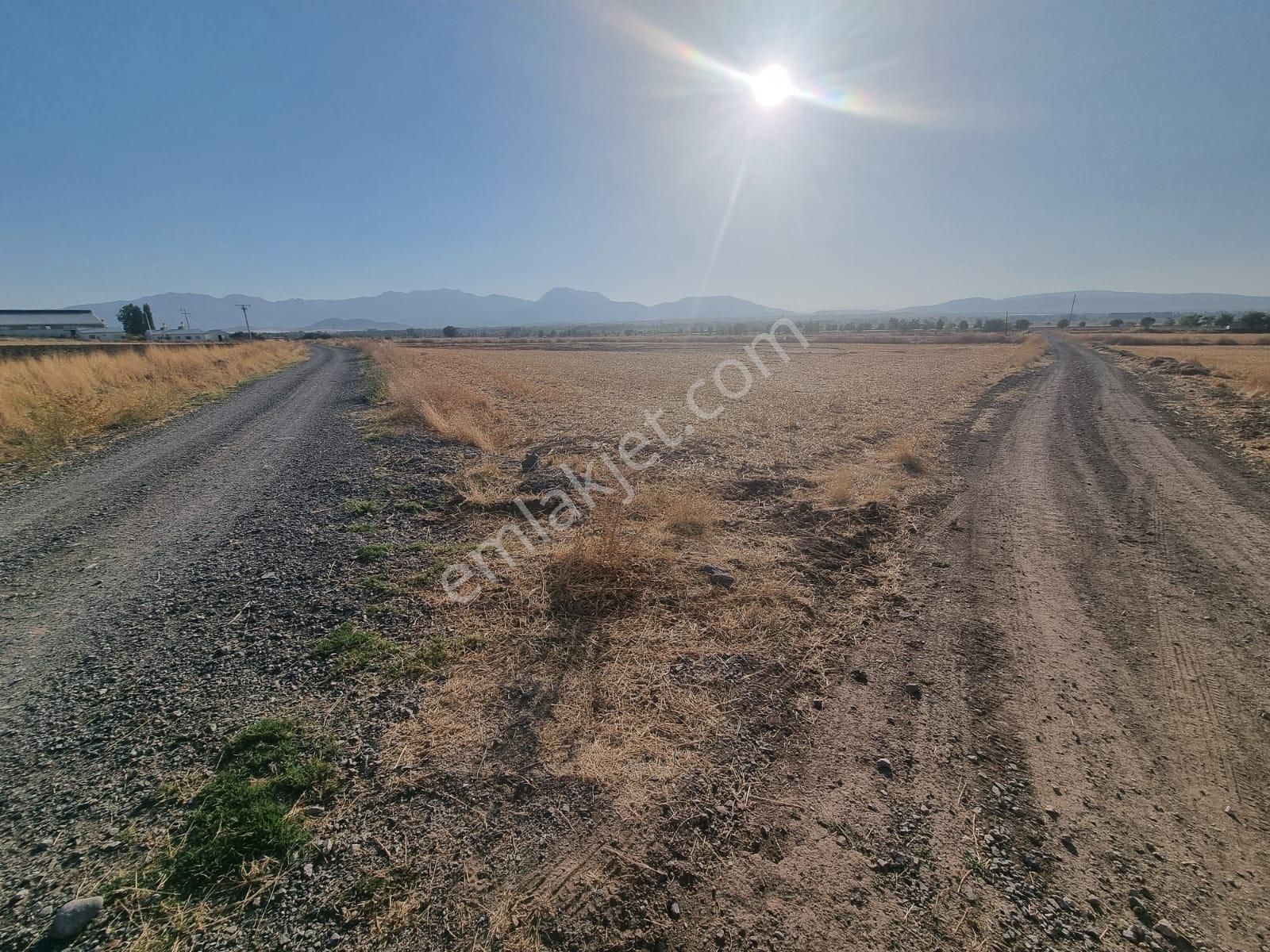 Gevrekli'de Satılık 796 M2 Tarla