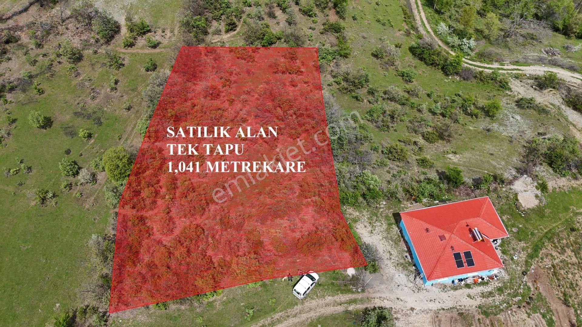 Vadi Emlak'tan Yazıbaşı Köyü'nde Satılık 1,041 M² Bağ