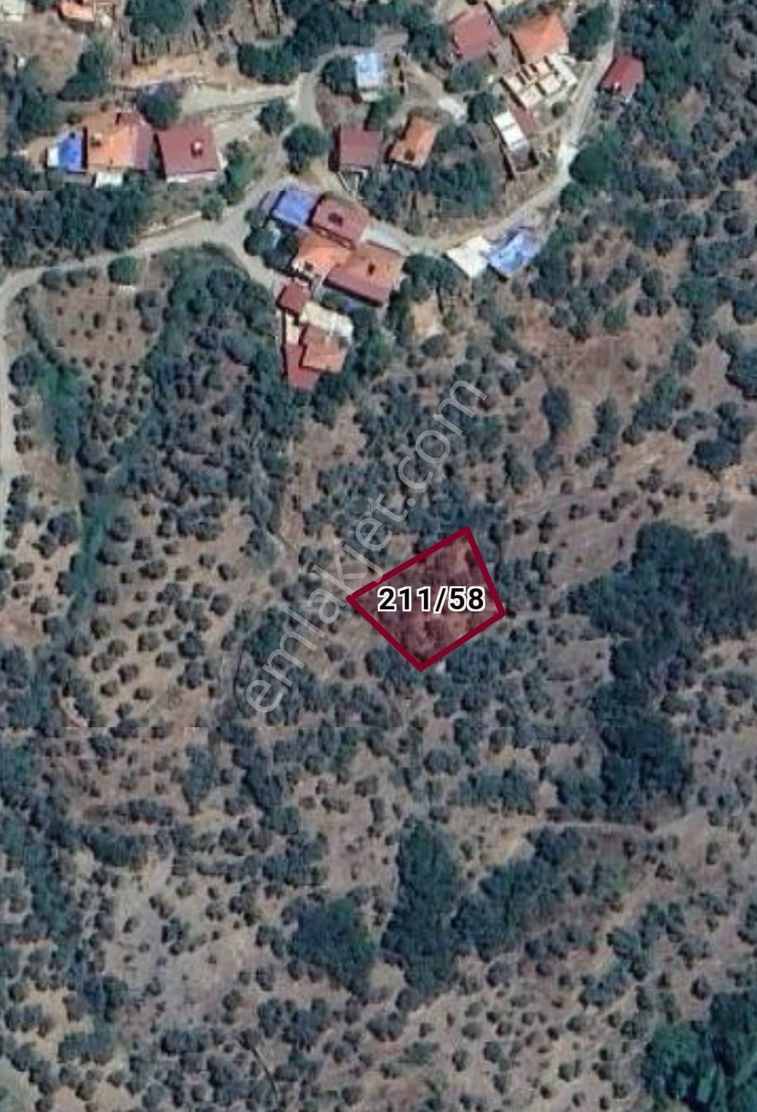 İzmir Bayındır Balcılar Köyünde 550 M2 Satılık Zeytinlik