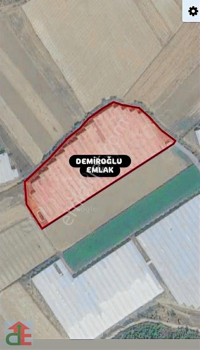Manavgt Ve Serike Yakın Boş Tarla Fiyatına Satılık Muz Serası