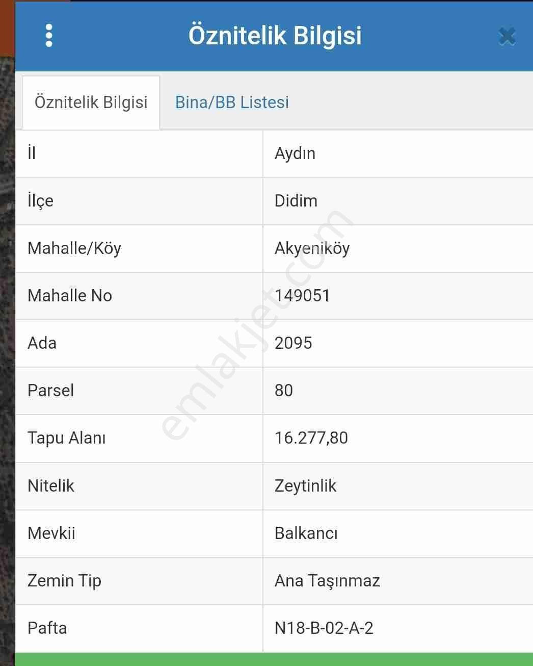 Didim'de Deniz Manzaralı Yatırımlık Zeytinlik