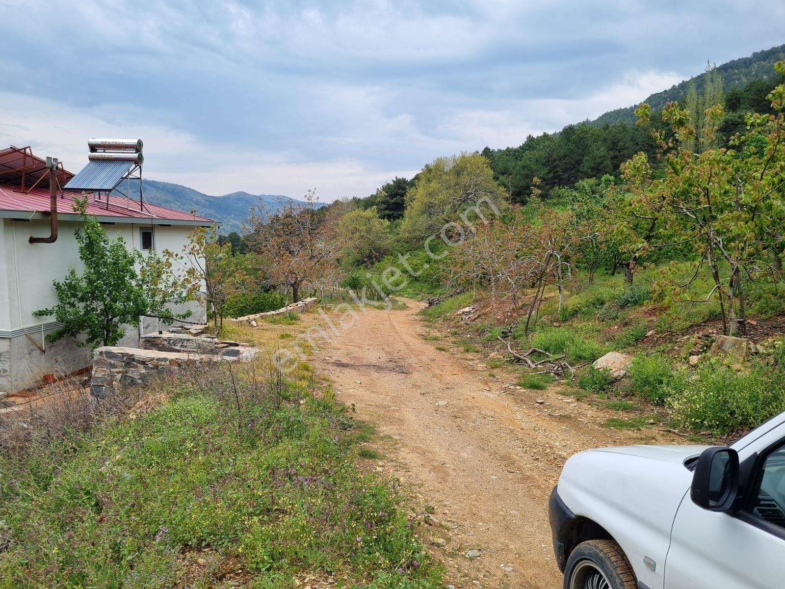 İzmir Bayındır Balcılar Köyünde Satılık 2.372 M2 Kirazlık - Görsel 8