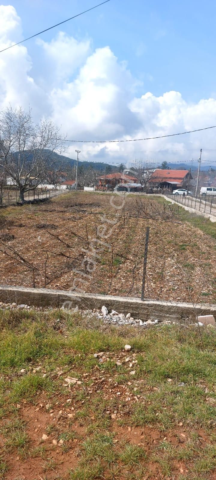 Stop’tan Nif’te Köy İçi İmarlı Merkezi Konumda Arsa(açıklamayı Okuyunuz) - Görsel 7