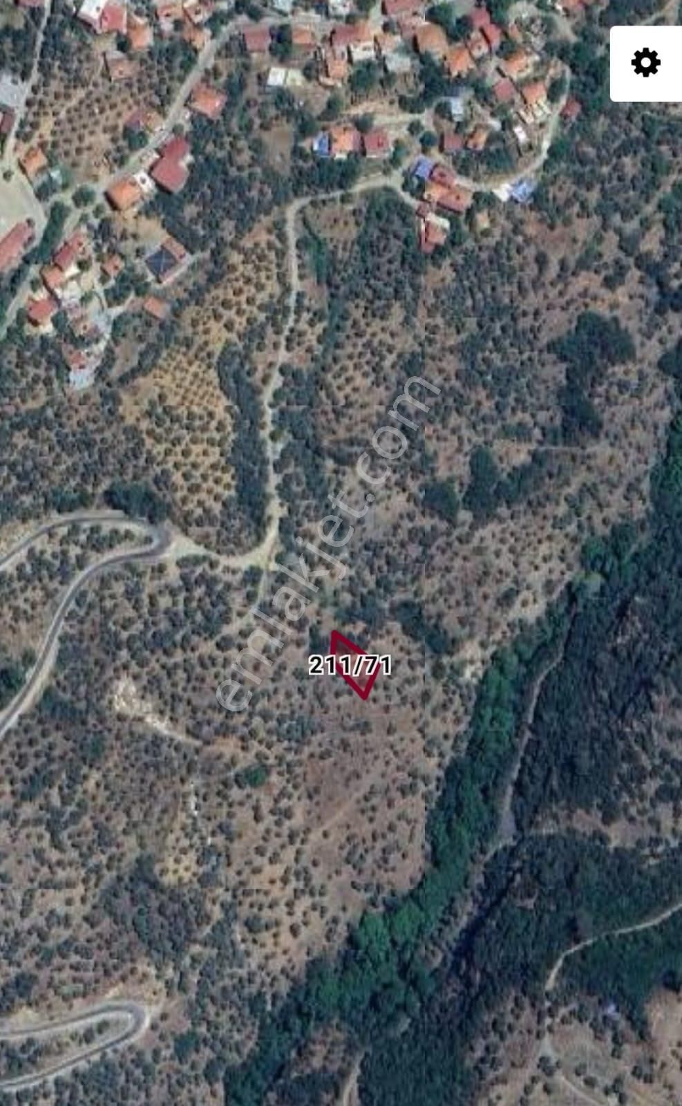 İzmir Bayındır Balcılar Köyünde 332 M2 Satılık Zeytinlik