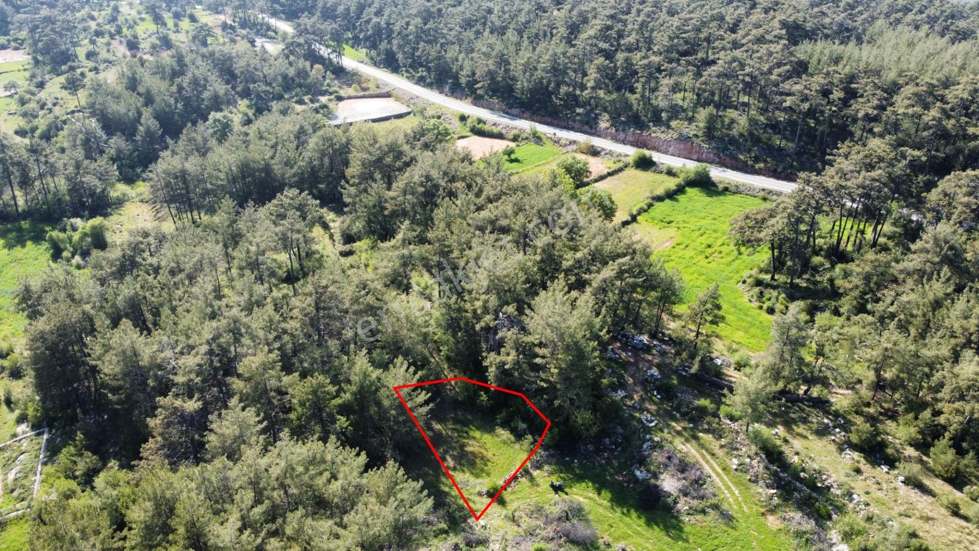 Muğla Kıran'da Ana Yola 120 Metre Satılık Tarla