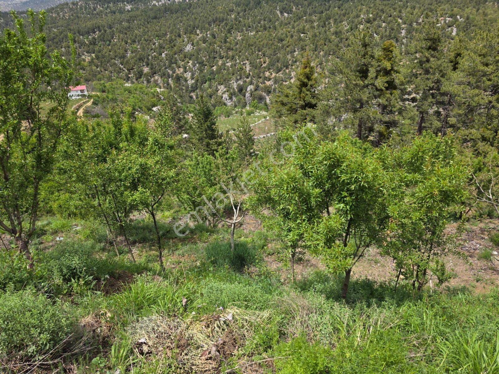 Mersin Toroslar Kavaklıpınar Mah.'de Satılık Bahçe