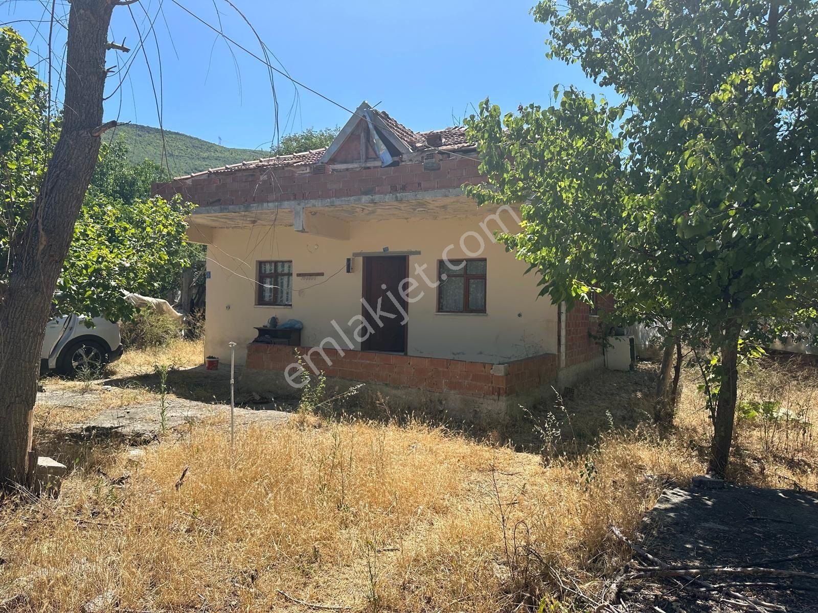 Amasya Merkez Büyükkızılca Satılık Bağ/bahçe Evi Var